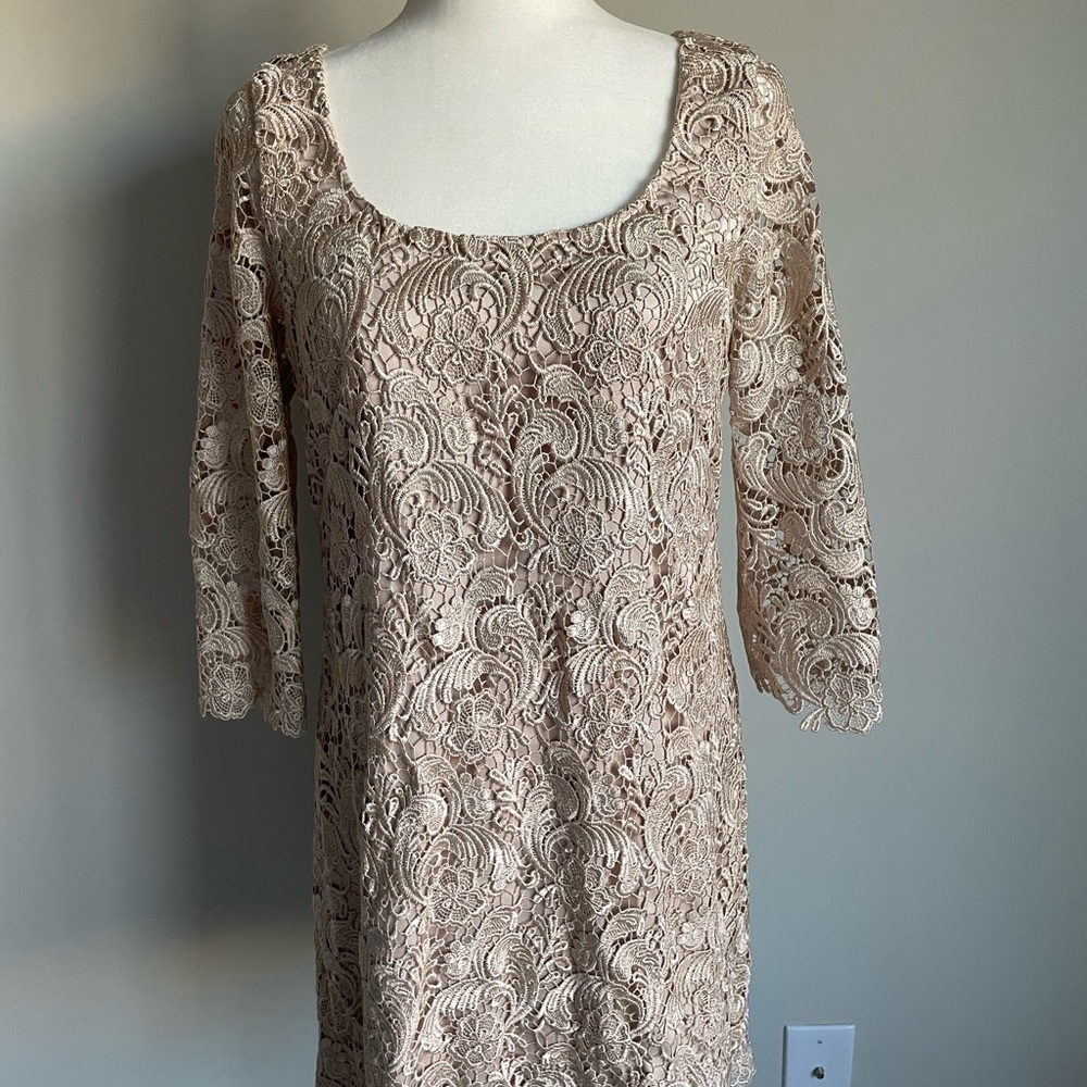 NWT WHBM Beige Lace Dress Sz 6